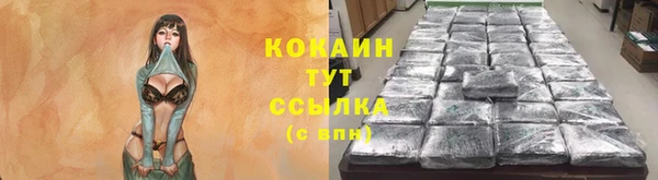 прущие крисы Белокуриха