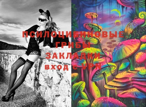 прущие крисы Белокуриха