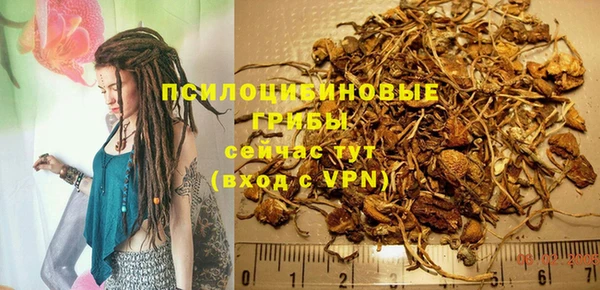 прущие крисы Белокуриха