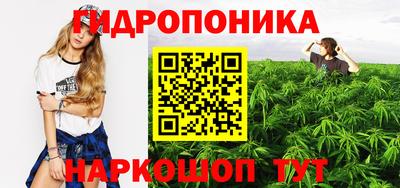 шишки Будённовск