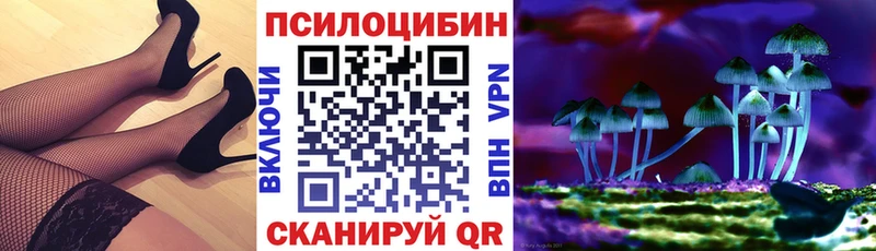 Галлюциногенные грибы Cubensis  где можно купить   Гуково 