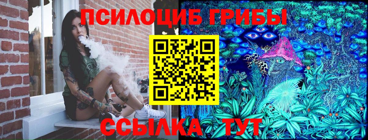 Галлюциногенные грибы Magic Shrooms  Гуково  Галлюциногенные грибы Psilocybe 