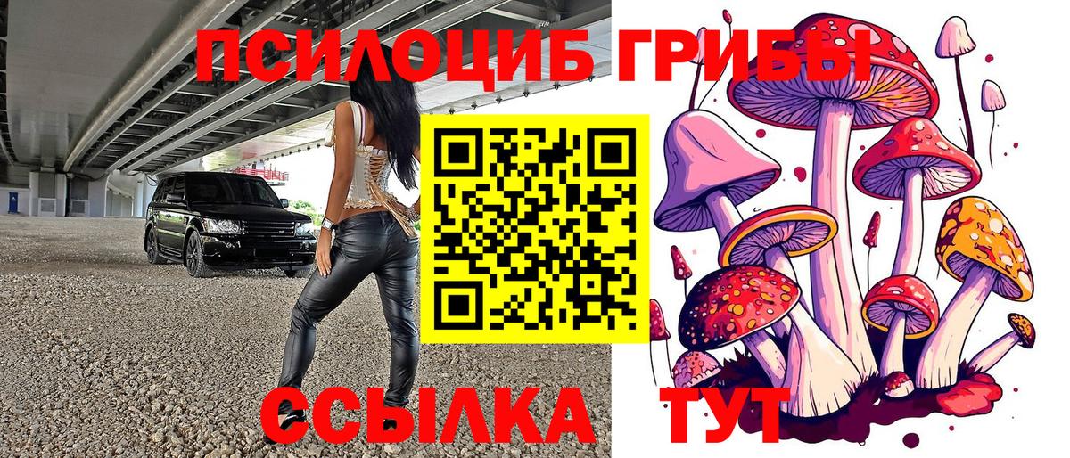 Псилоцибиновые грибы мухоморы  Вход с VPN  Гуково 